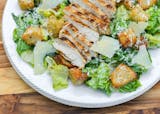 Grilled Chicken Caesar Salad