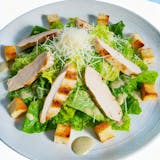 CAESAR WITH CHICKEN SALAD