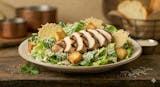 Grilled Chicken Caesar Salad
