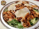 Large Grilled Chicken Caesar Salad