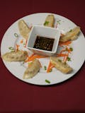 Pan Seared Potstickers