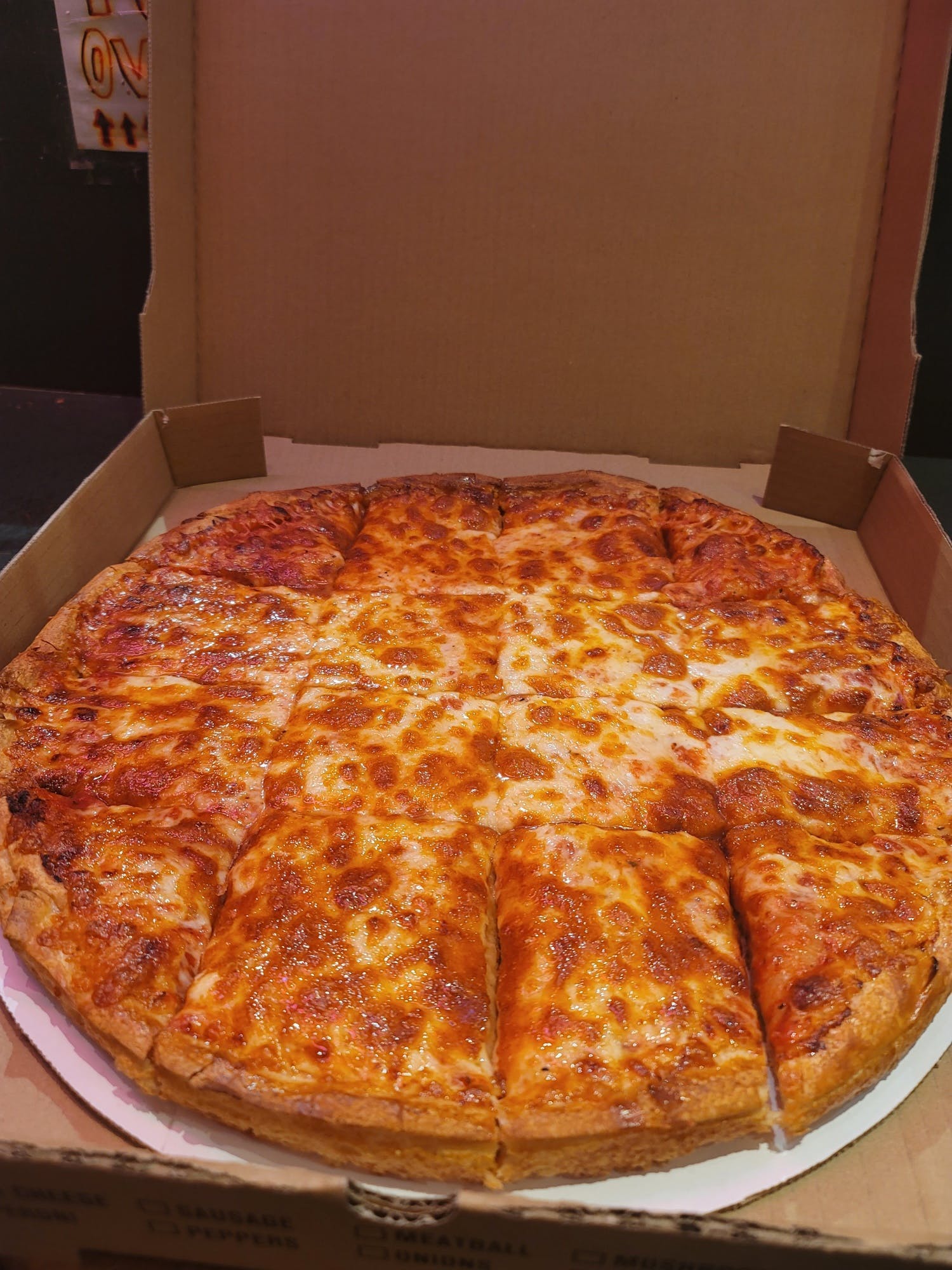 Plain Mozzarella Cheese Pizza