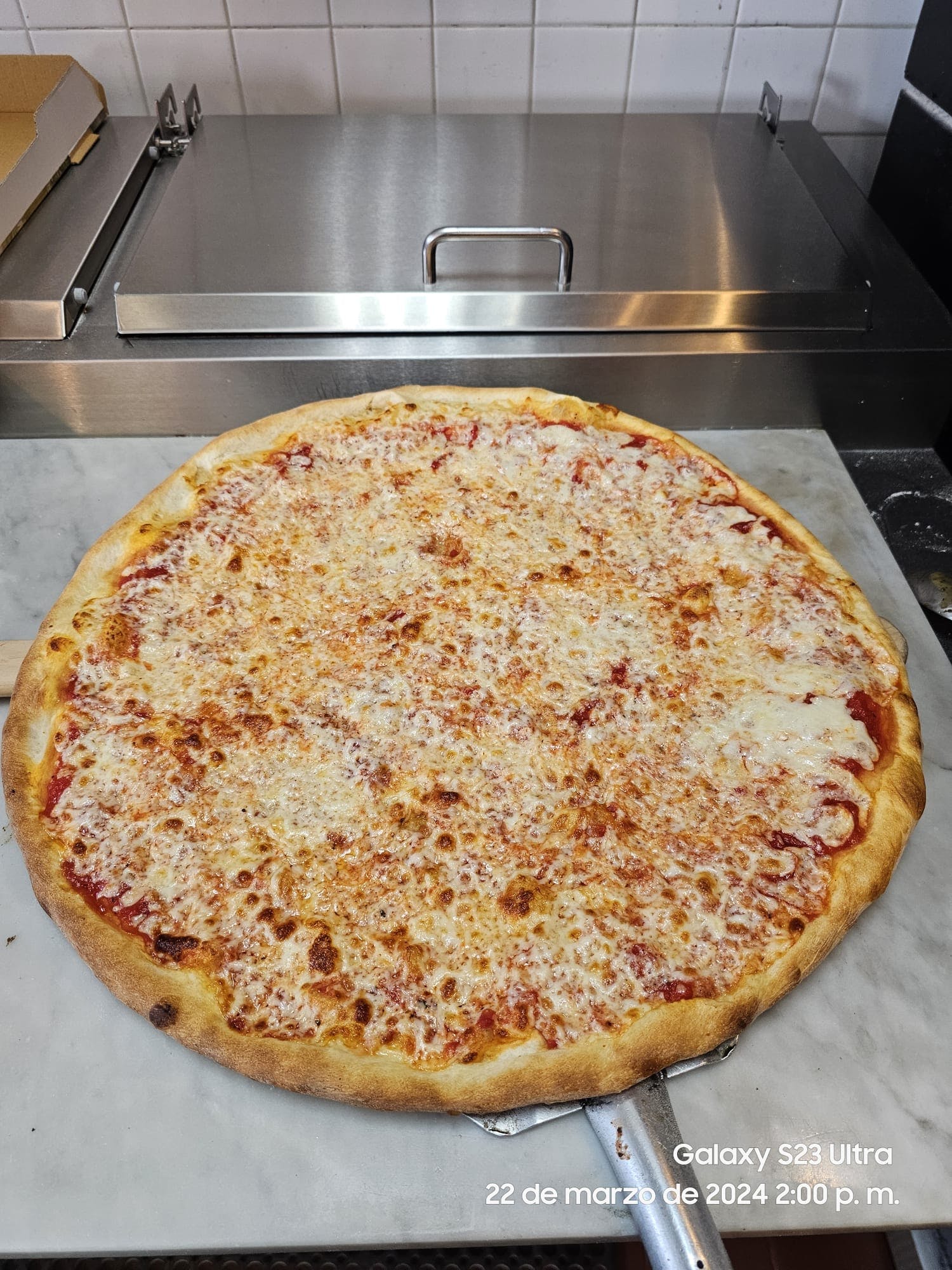 Plain Cheese Pizza