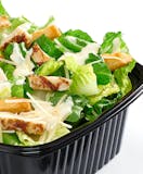 Chicken Caesar Salad