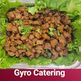 Gyro Feast Catering Package