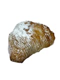 sfogliatella