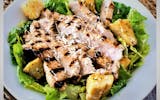 Large Chicken Caesar Salad