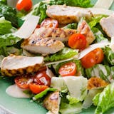 Mix Green Salad with Grilled Chicken