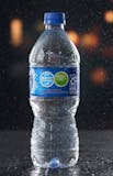 16.9 Ounce Water