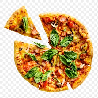 Gyro Pizza