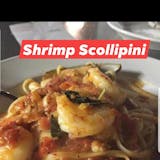 Shrimp Scollipini