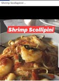 Shrimp Scollipini
