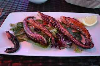 Grilled Octopus
