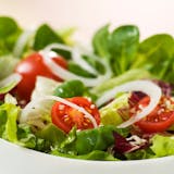Garden Salad with Any Topping