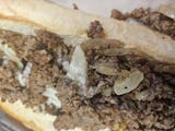 Onion Steak Sub
