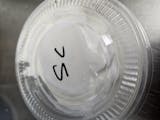 Sour Cream