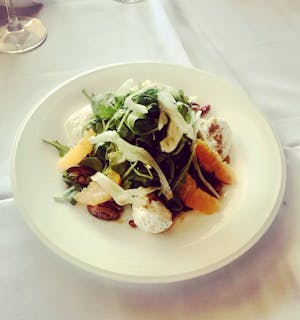 Burrata Salad Special