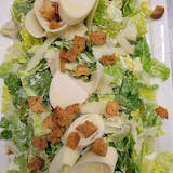 Surv Caesar Salad