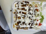 Lamb Over Rice and Salad