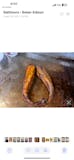 Lake Trout