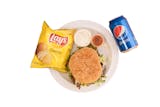 STUDENT SPECIAL GYRO BURGER MEAL