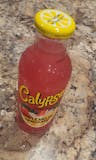 Calypso