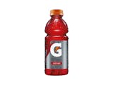 Gatorade Fruit Punch - 20oz Bottle