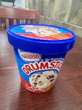 Nestle Drumstick Ice Cream (Pint)