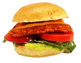 Spicy Chicken Sandwich