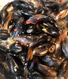 Mussels