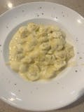 Cheese Tortellini Alfredo Lunch