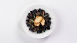 Mussels