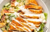 Crispy Caesar Salad