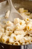 Large Tray of Rigatoni Alfredo w. Ricotta