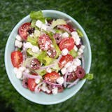 The Go Go Greek Salad (Vegetarian)