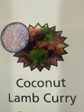 Coconut Lamb Curry