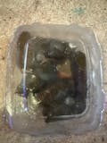 Dolmas/Grape Leaves (Mahshy Warquenab) (6 Pieces)