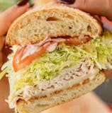 Turkey Sub