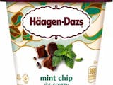 Haagen Dazs Mint Chip Ice Cream