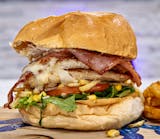 X-Galinha Sandwich