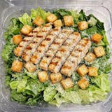 Grilled Chicken Caesar Salad