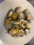 Littleneck Clams