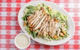 Chicken Caesar Salad Catering