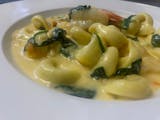 Shrimp Tortollini Catering