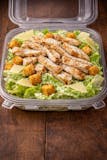 Chicken Caesar Salad