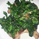 Pork Chops With Broccoli Rabe