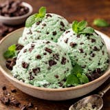 Mint Chocolate Chip Ice Cream
