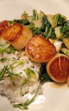 Scallops