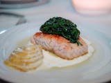 Salmon Florentina