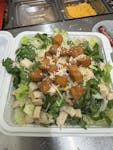 Chicken Caesar Salad 
